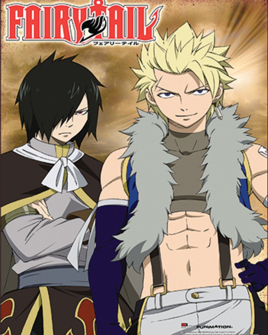 Fairy Tail poster: Group (24x36) Anime series